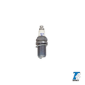 SPARK PLUG BRISK