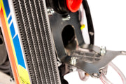 ROTAX 125 MINIMAX