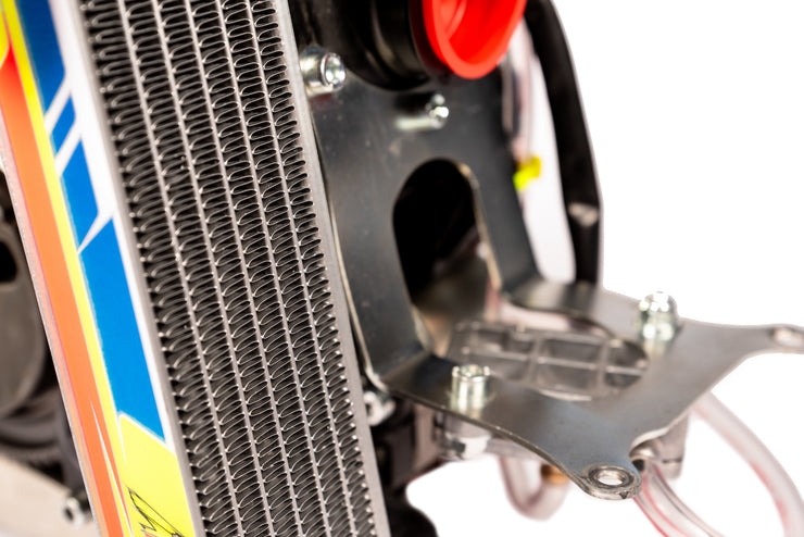 ROTAX 125 MINIMAX