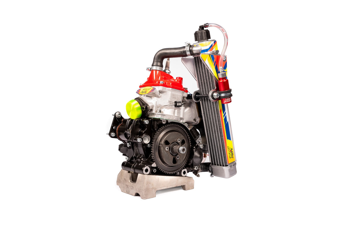 Rotax Motorcycle Engines Type Certificate Of The Faeta NG Was Extended