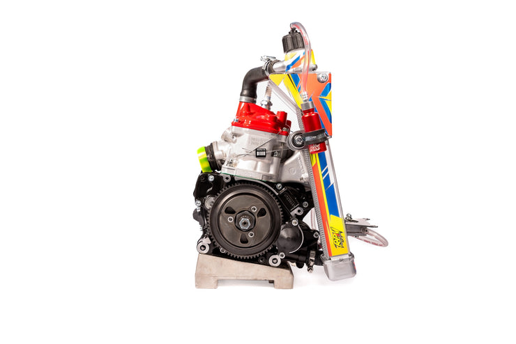 ROTAX 125 MICROMAX