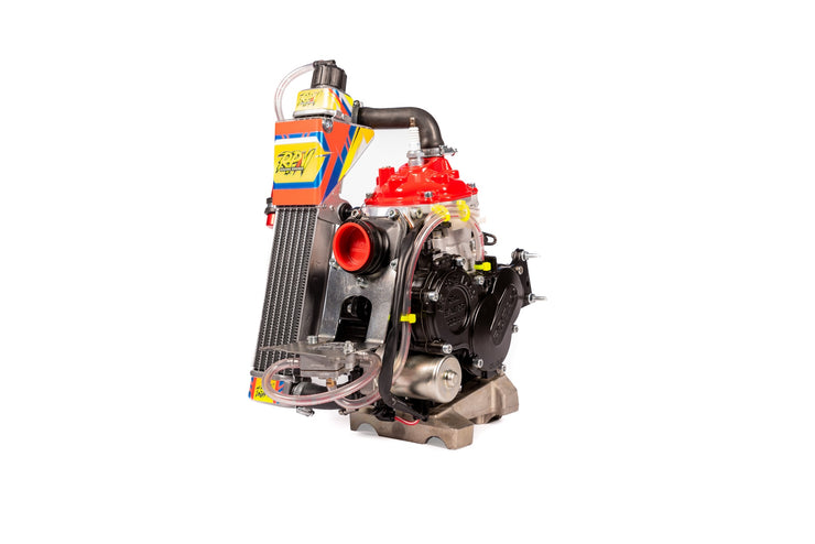 ROTAX 125 MINIMAX