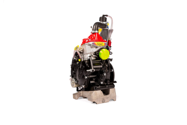 ROTAX 125 MINIMAX