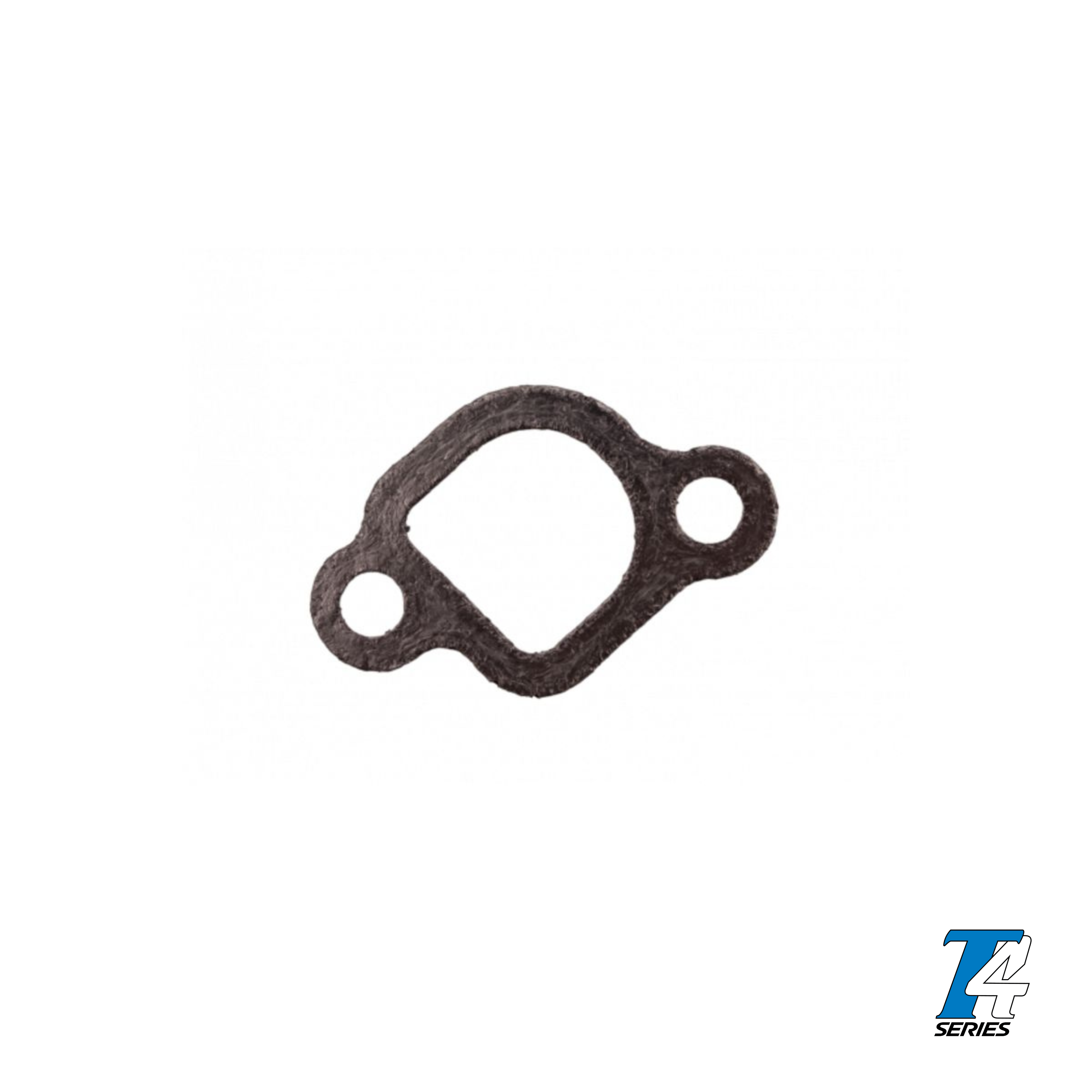 TPP-225RS EXHAUST GASKET